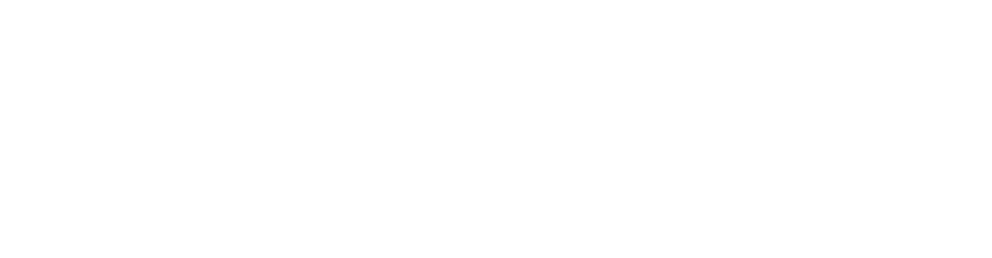 Netron ICT